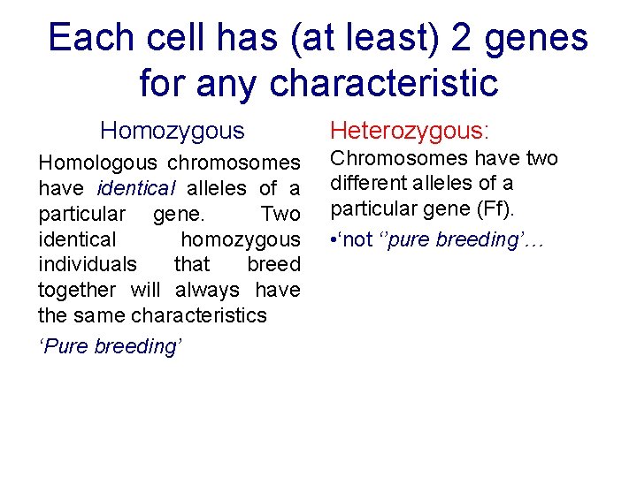 Each cell has (at least) 2 genes for any characteristic Homozygous Homologous chromosomes have