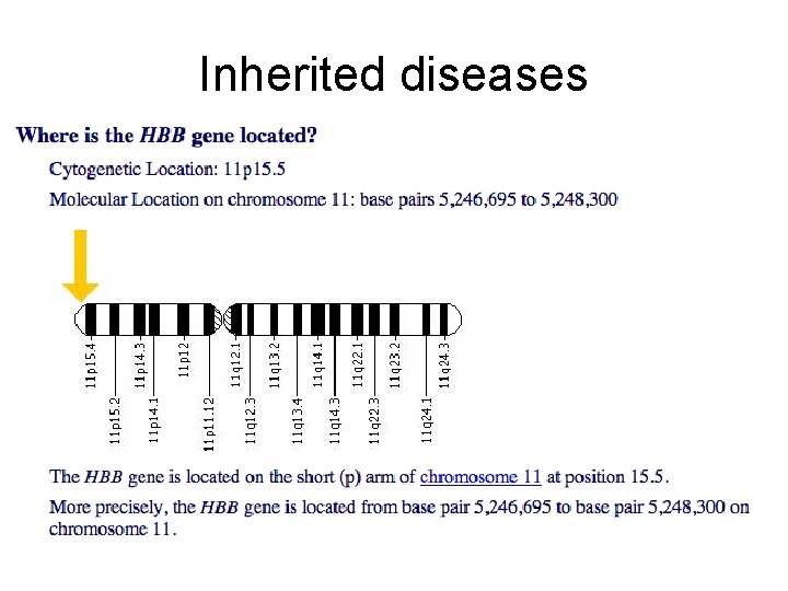Inherited diseases 