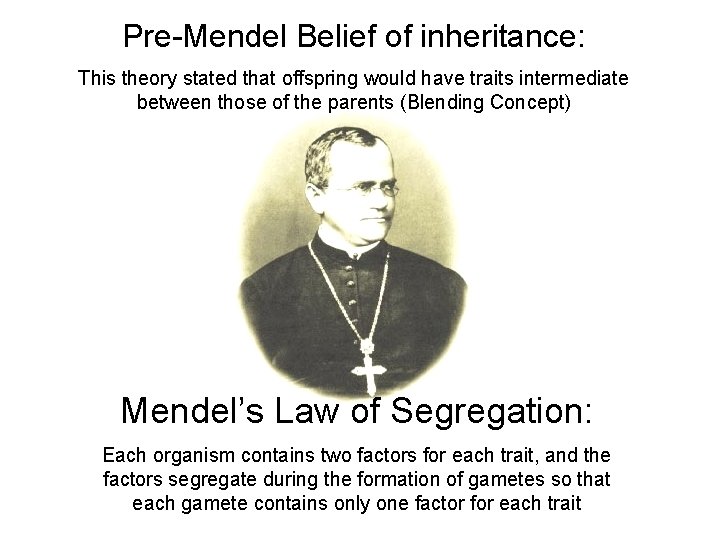 Pre-Mendel Belief of inheritance: This theory stated that offspring would have traits intermediate between