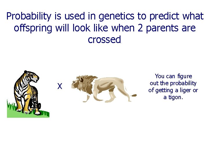 Probability is used in genetics to predict what offspring will look like when 2 Probability is used in genetics to predict what offspring will look like when 2