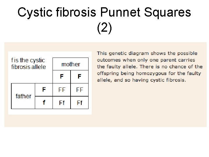 Cystic fibrosis Punnet Squares (2) Cystic fibrosis Punnet Squares (2)