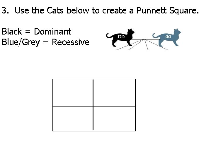 3. Use the Cats below to create a Punnett Square. Black = Dominant Blue/Grey