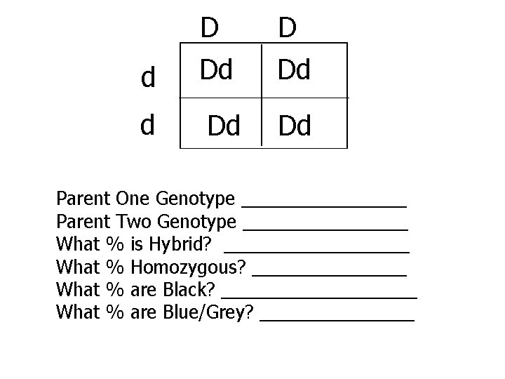 d D Dd d Dd Dd Parent One Genotype ________ Parent Two Genotype ________