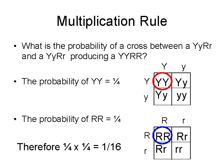 Multiplication Rule • What is the probability of a cross between a Yy. Rr