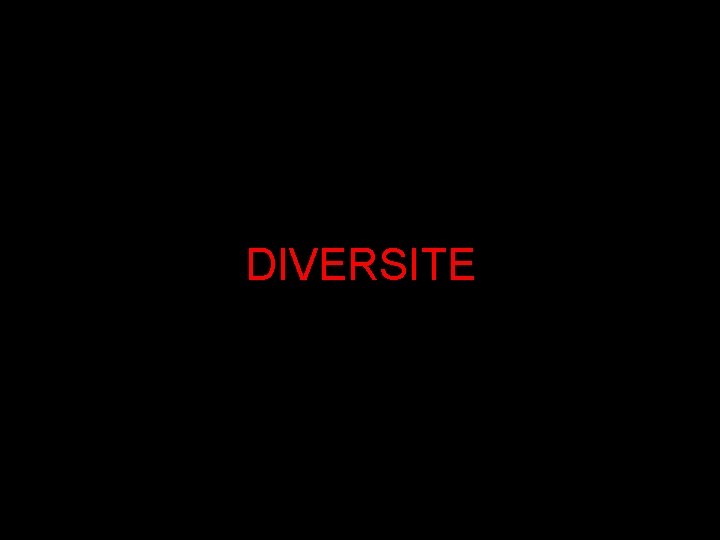 DIVERSITE 