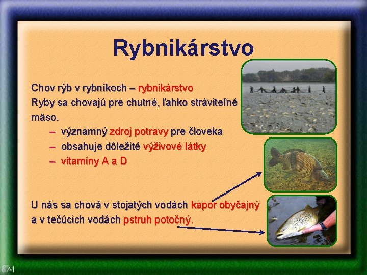 Rybnikárstvo Chov rýb v rybníkoch – rybnikárstvo Ryby sa chovajú pre chutné, ľahko stráviteľné