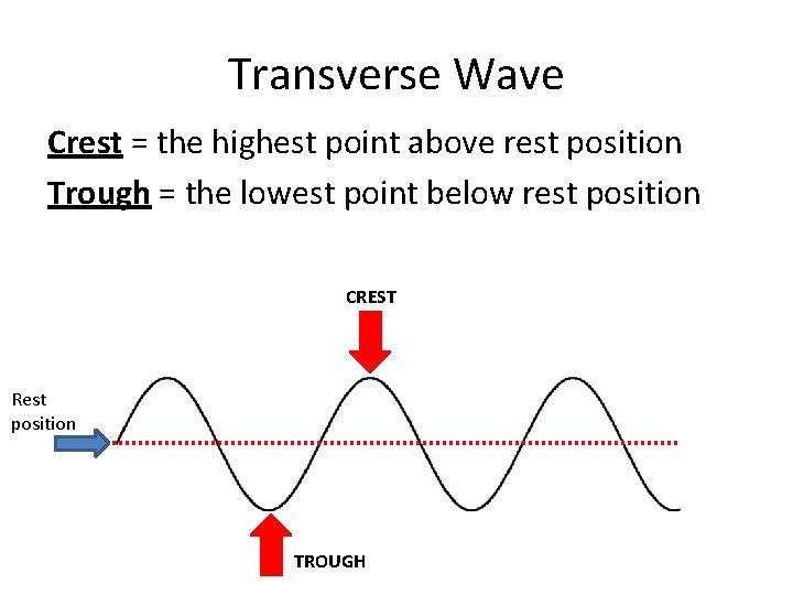 Transverse Wave Crest = the highest point above rest position Trough = the lowest