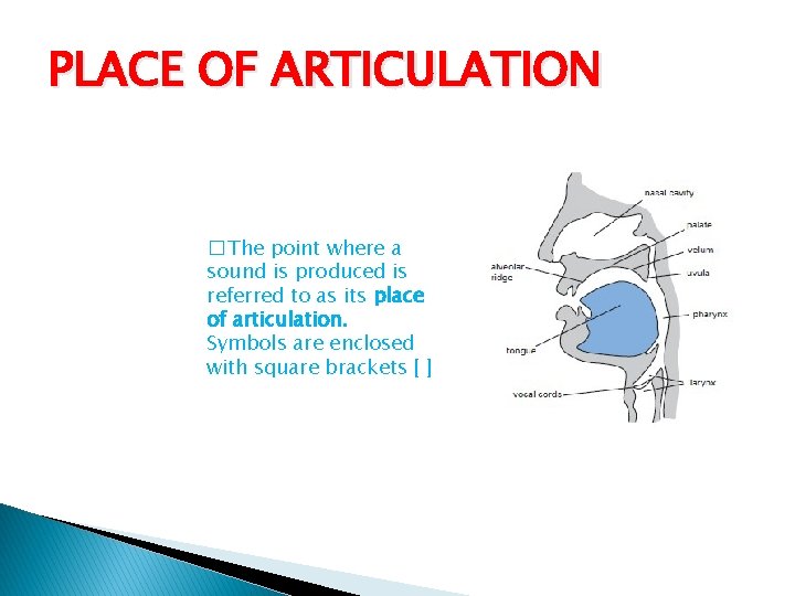 PLACE OF ARTICULATION � The point where a sound is produced is referred to