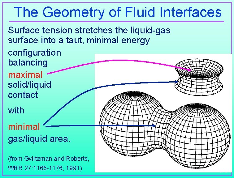 The Geometry of Fluid Interfaces Surface tension stretches the liquid-gas surface into a taut,