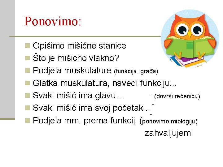 Ponovimo: n Opišimo mišićne stanice n Što je mišićno vlakno? n Podjela muskulature (funkcija,