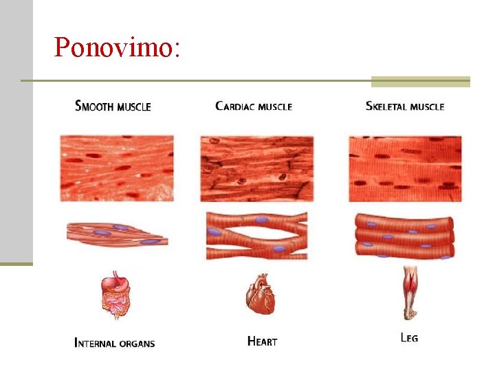 Ponovimo: 