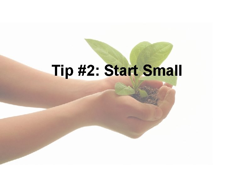 Tip #2: Start Small 