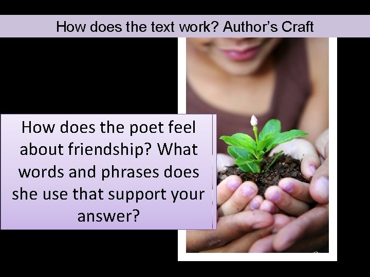 How does the text work? Author’s Craft How does the poet feel about friendship?