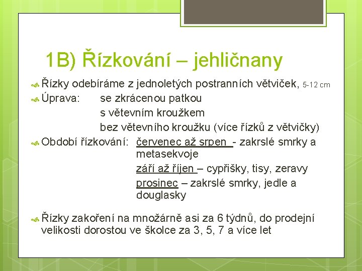 1 B) Řízkování – jehličnany Řízky odebíráme z jednoletých postranních větviček, 5 -12 cm