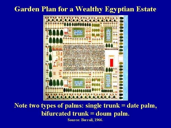 Garden Plan for a Wealthy Egyptian Estate Note two types of palms: single trunk