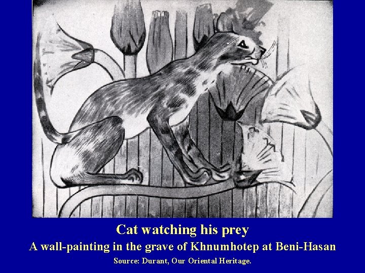 Cat watching his prey A wall-painting in the grave of Khnumhotep at Beni-Hasan Source: