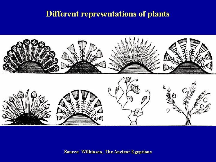 Different representations of plants Source: Wilkinson, The Ancient Egyptians 