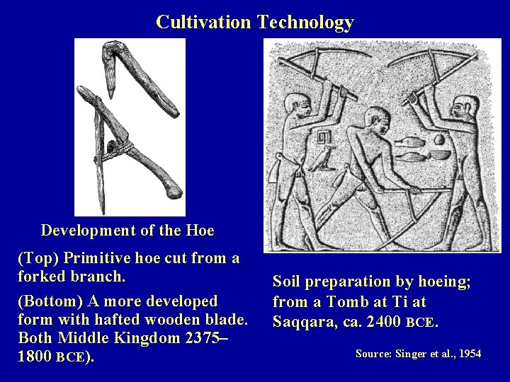 Cultivation Technology Development of the Hoe (Top) Primitive hoe cut from a forked branch.