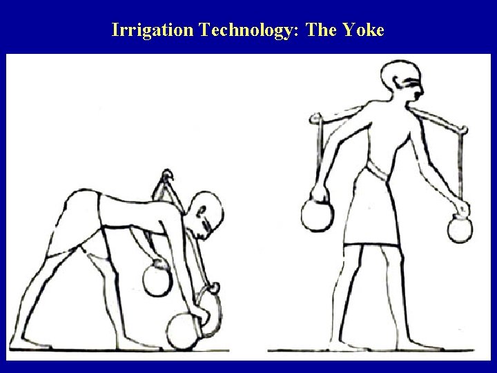 Irrigation Technology: The Yoke 