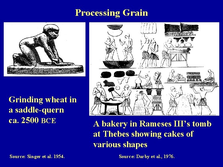 Processing Grain Grinding wheat in a saddle-quern ca. 2500 BCE Source: Singer et al.