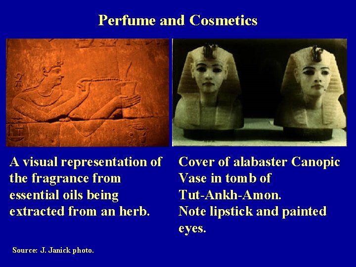 Perfume and Cosmetics A visual representation of the fragrance from essential oils being extracted