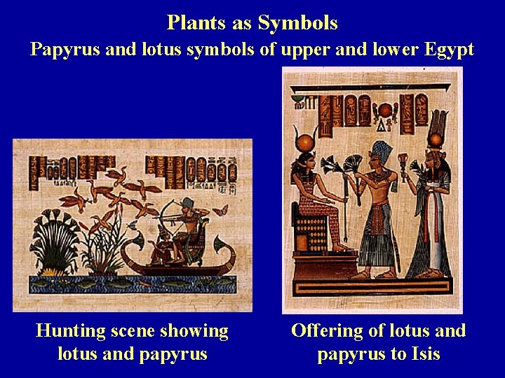 Plants as Symbols Papyrus and lotus symbols of upper and lower Egypt Hunting scene