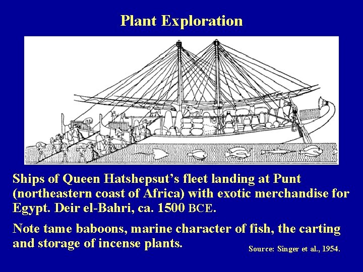 Plant Exploration Ships of Queen Hatshepsut’s fleet landing at Punt (northeastern coast of Africa)