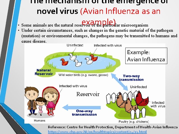 The mechanism of the emergence of novel virus (Avian Influenza as an example) •