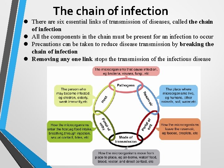 The chain of infection l There are six essential links of transmission of diseases,