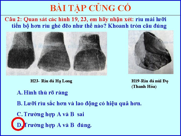 BÀI TẬP CỦNG CỐ Câu 2: Quan sát các hình 19, 23, em hãy