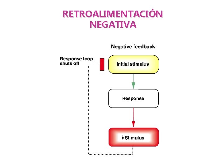 RETROALIMENTACIÓN NEGATIVA 