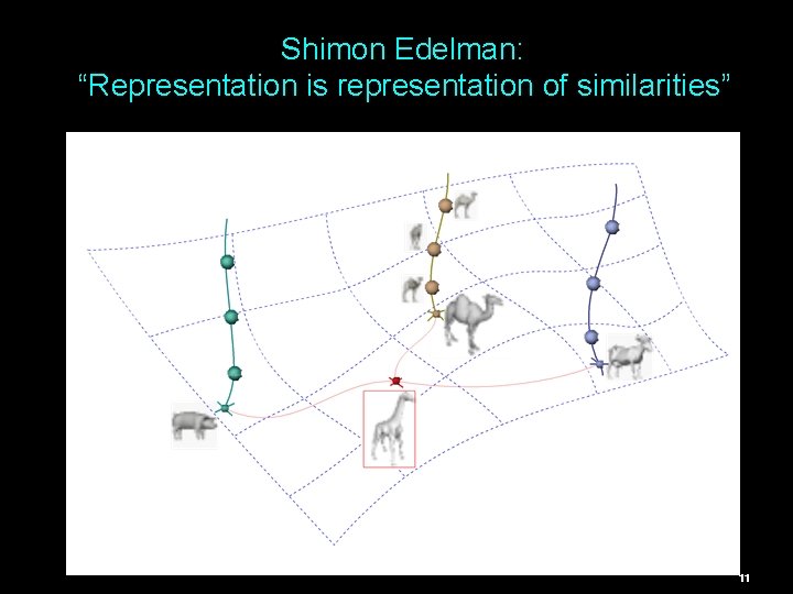 Shimon Edelman: “Representation is representation of similarities” 11 