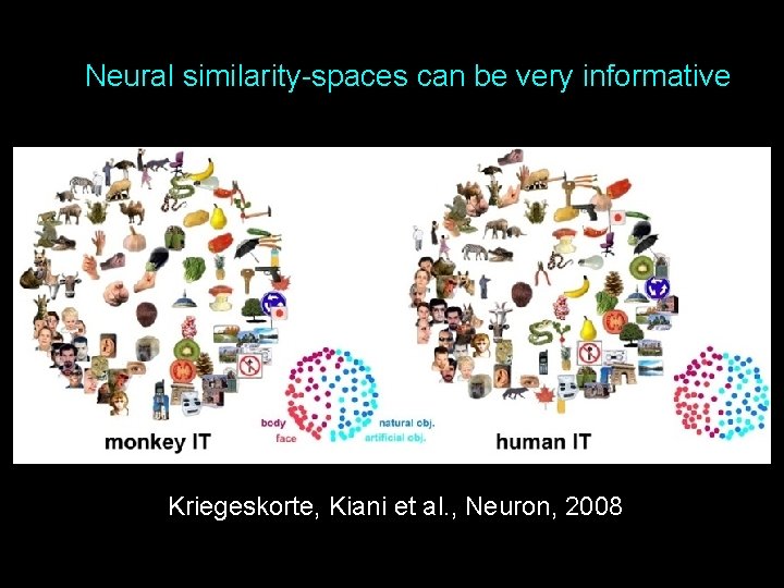 Neural similarity-spaces can be very informative Kriegeskorte, Kiani et al. , Neuron, 2008 18