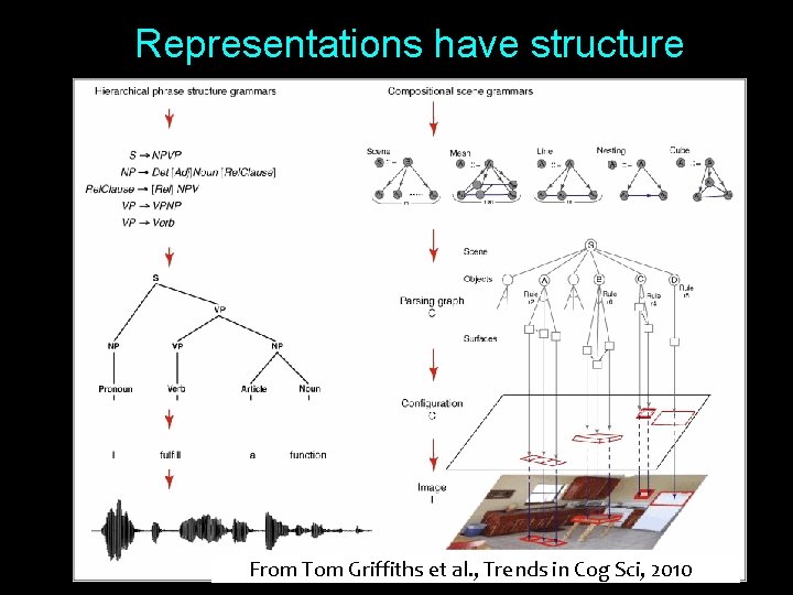 Representations have structure From Tom Griffiths et al. , Trends in Cog Sci, 2010