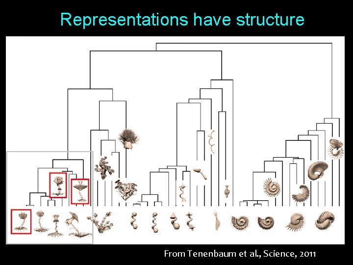 Representations have structure From Tenenbaum et al. , Science, 2011 9 