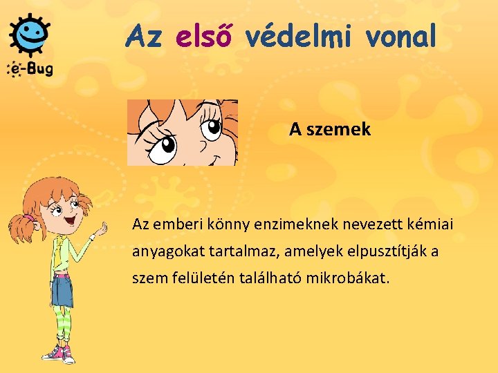 Az első védelmi vonal A szemek Az emberi könny enzimeknek nevezett kémiai anyagokat tartalmaz,