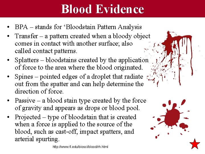 Blood Evidence • BPA – stands for ‘Bloodstain Pattern Analysis • Transfer – a