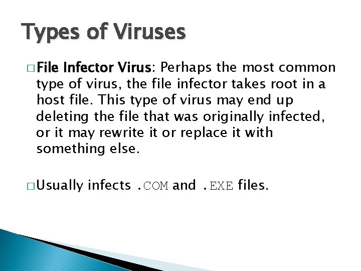 Types of Viruses � File Infector Virus: Perhaps the most common type of virus,