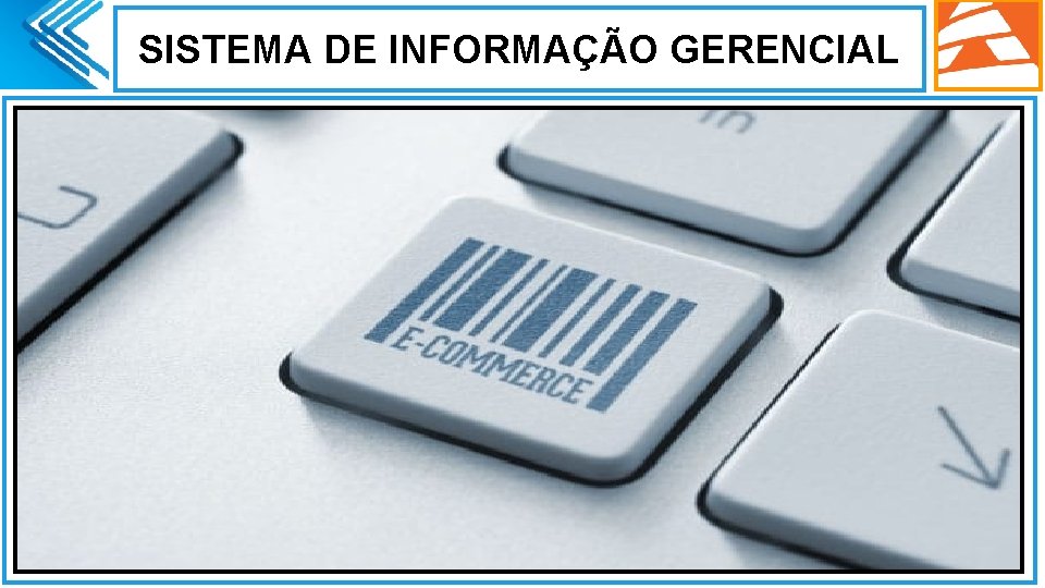 SISTEMA DE INFORMAÇÃO GERENCIAL. 