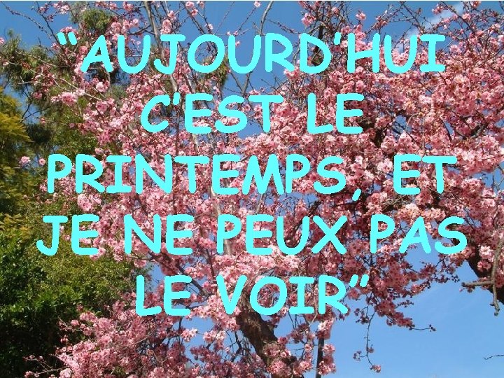“AUJOURD’HUI C’EST LE PRINTEMPS, ET JE NE PEUX PAS LE VOIR” 