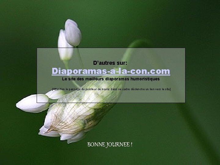 D’autres sur: Diaporamas-a-la-con. com Le site des meilleurs diaporamas humoristiques [Attention le passage du