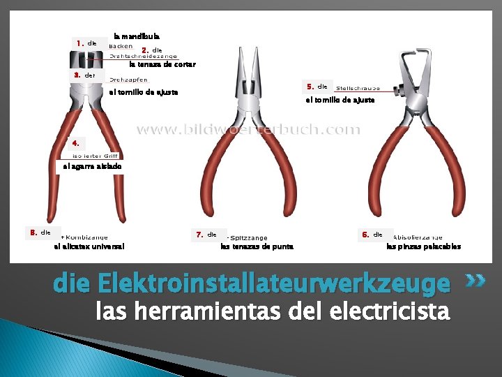 1. die la mandíbula 2. die la tenaza de cortar 3. der 5. die