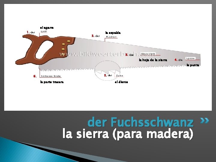 1. der el agarre 2. der la espalda 3. das la hoja de la