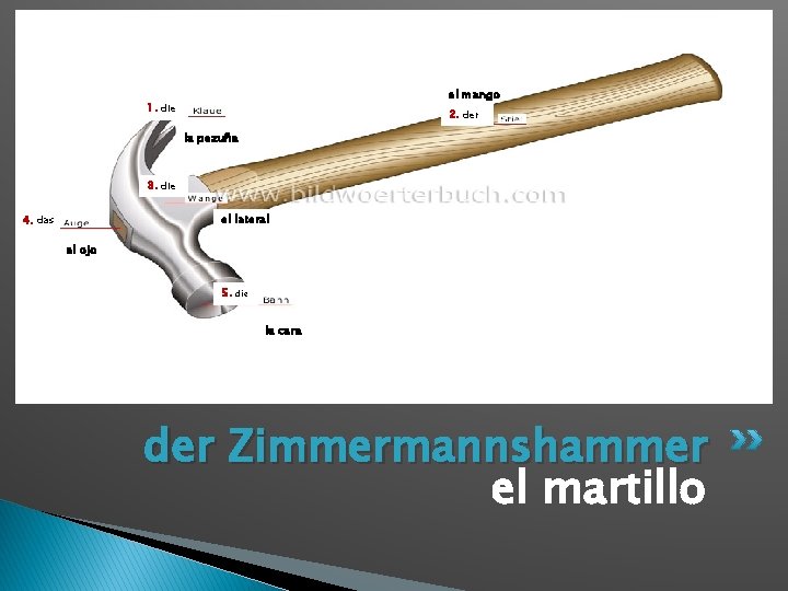 el mango 1. die 2. der la pezuña 3. die el lateral 4. das