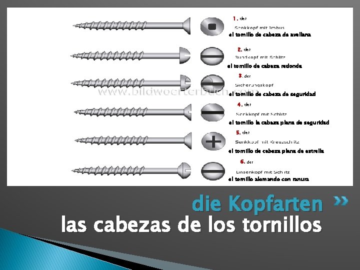 1. der el tornillo de cabeza de avellana 2. der el tornillo de cabeza