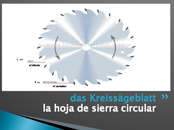 1. der el diente 2. die el cortador das Kreissägeblatt la hoja de sierra