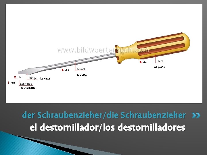 4. el puño 3. der 2. die la hoja 1. die das la caña