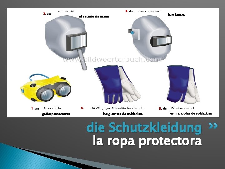 2. 1. der 3. der 4. die gafas protectoras la máscara el escudo de