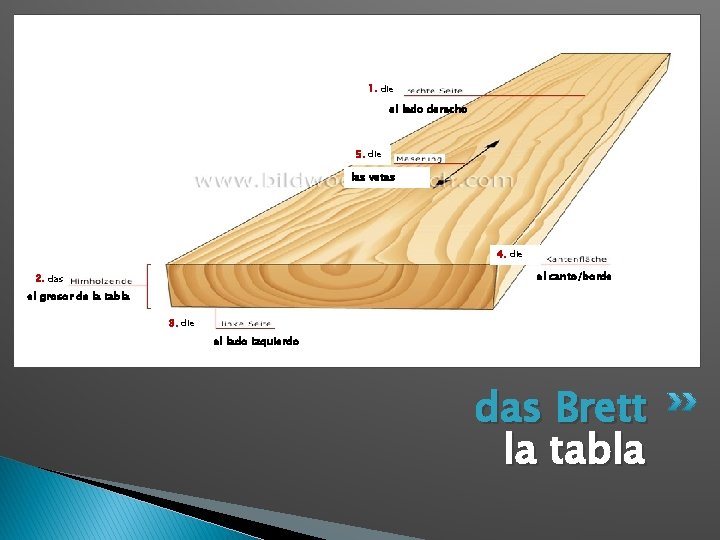 1. die el lado derecho 5. die las vetas 4. die el canto/borde 2.