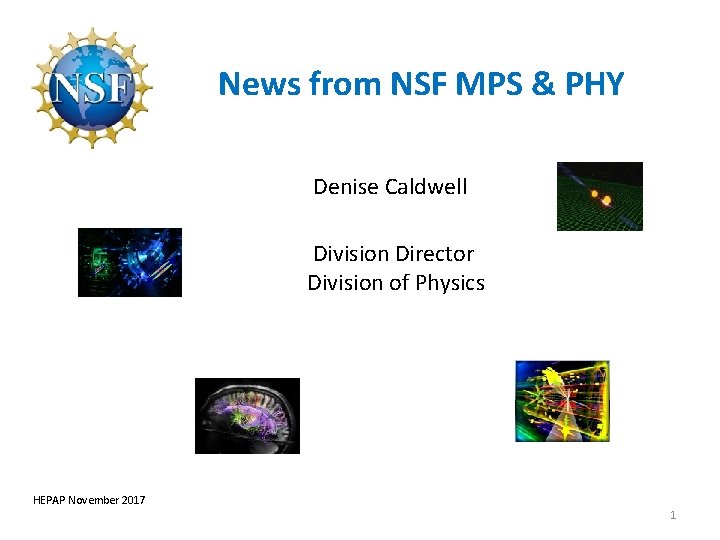 News from NSF MPS & PHY Denise Caldwell Division Director Division of Physics HEPAP